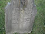image of grave number 50981